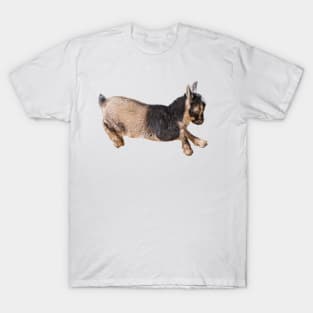 Bouncing Baby Goat 8 T-Shirt